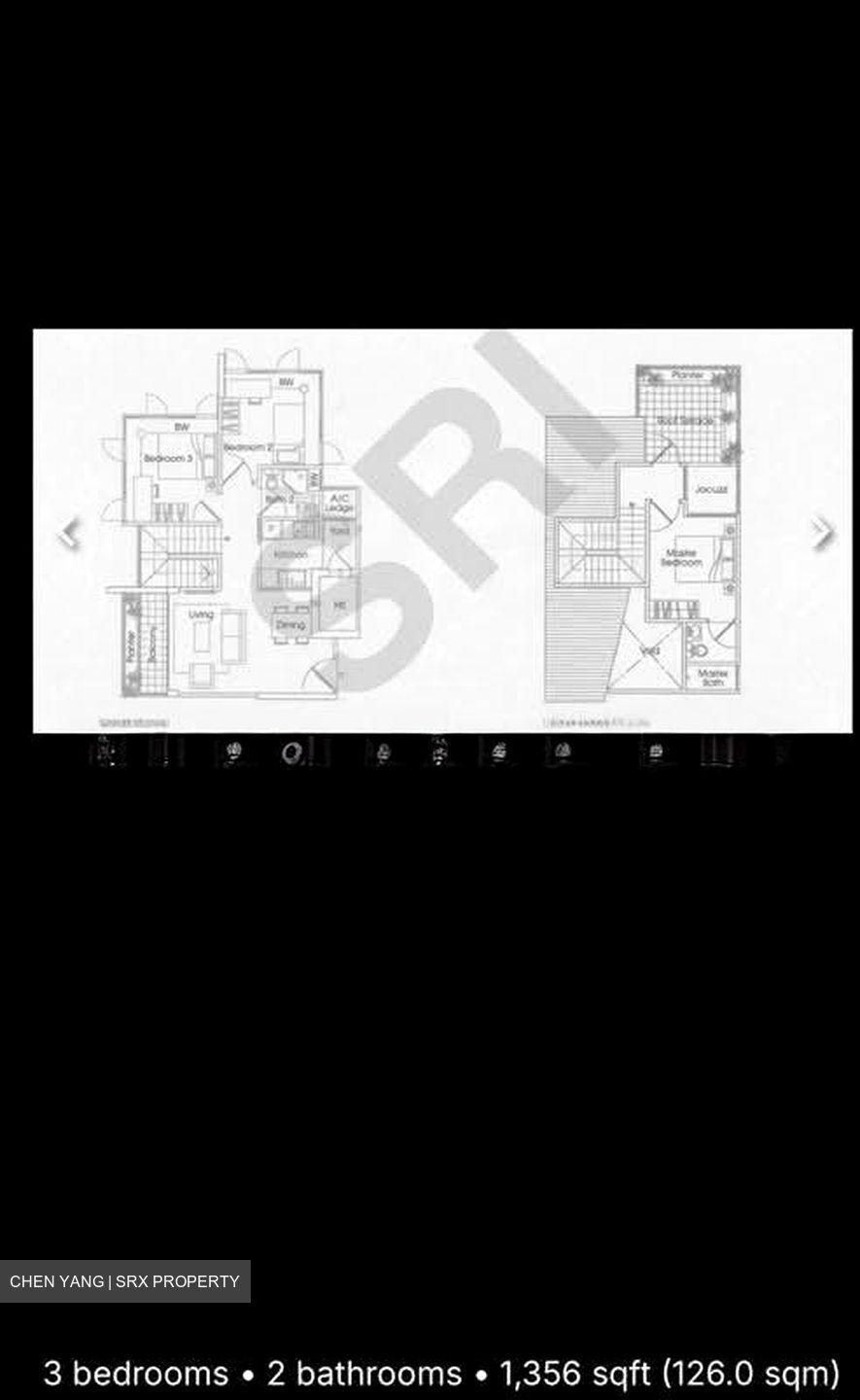 D' Chateau @ Shelford (D11), Apartment #595575981